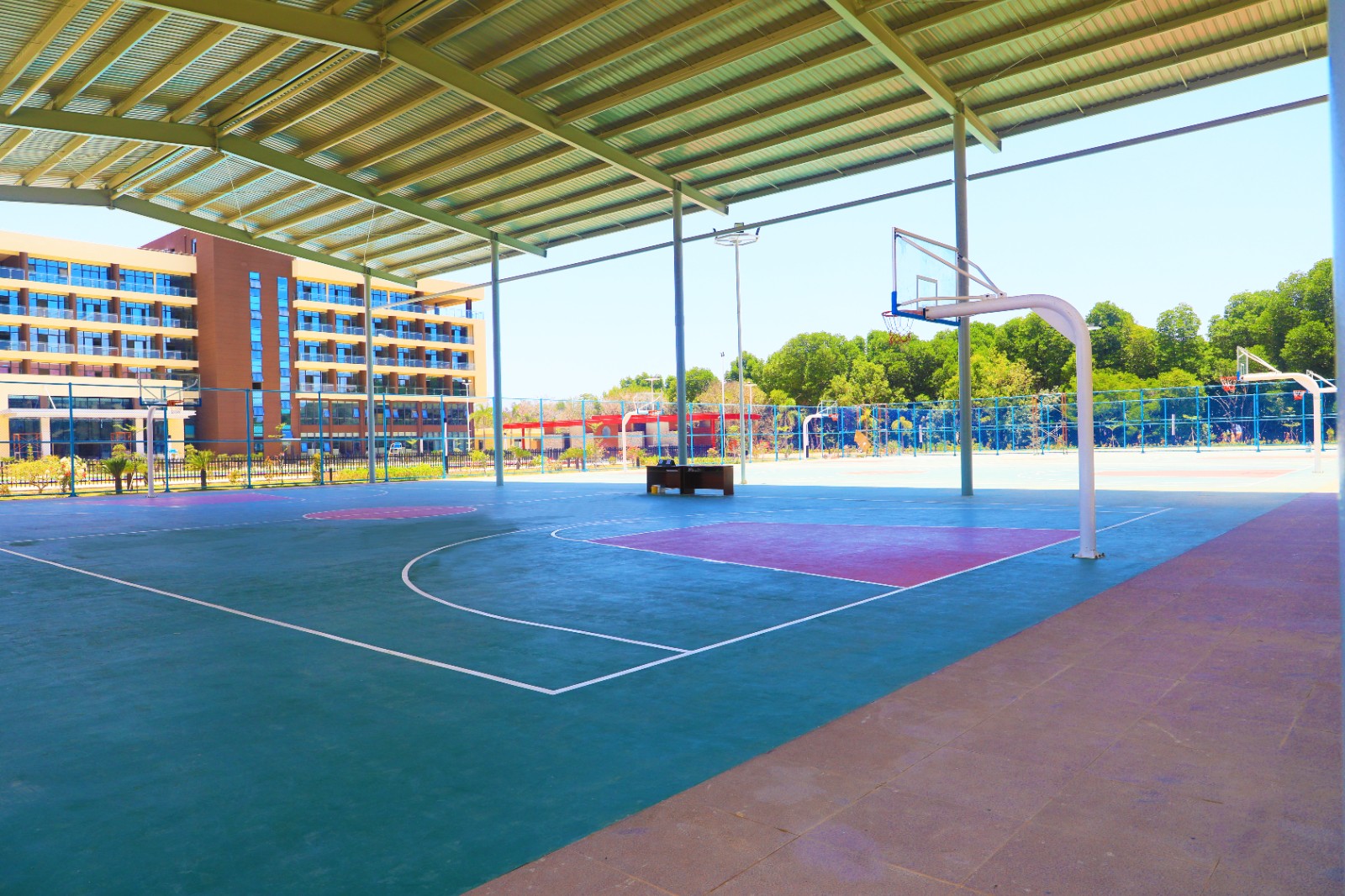 1711347916816083.jpg 555.jpg